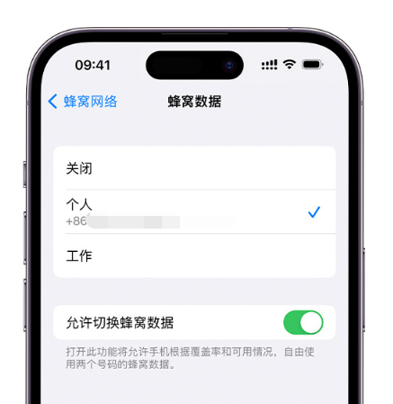 巫山苹果维修服务分享如何在iPhone上使用双卡 